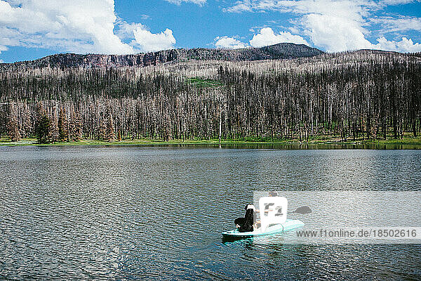Man and dog in a teal kayak on a lake with forest and sky behind them