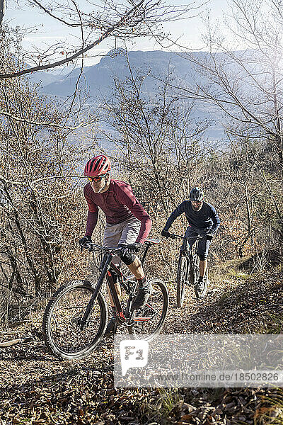 Mountain bikers riding uphill in alpine landscape  Trentino  Italy