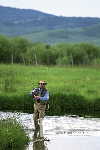 A fly-fisherman casts for trout on a small stream in the Rocky Mountains.