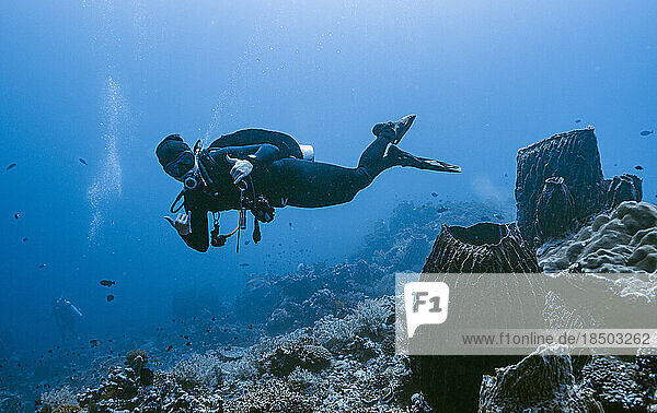 diver exploring a reef at Banda Sea / Indonesia