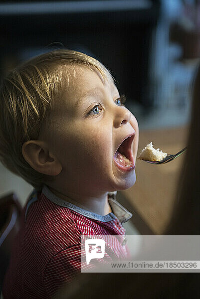 Little boy with mouth wide open awaiting a spoon of bread  Munich  Germany