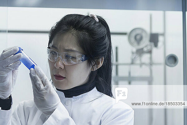 Young female scientist examining test tube in a laboratory  Freiburg im Breisgau  Baden-Württemberg  Germany