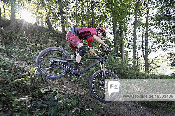 Mountain biker riding downhill through forest track  Bavaria  Germany