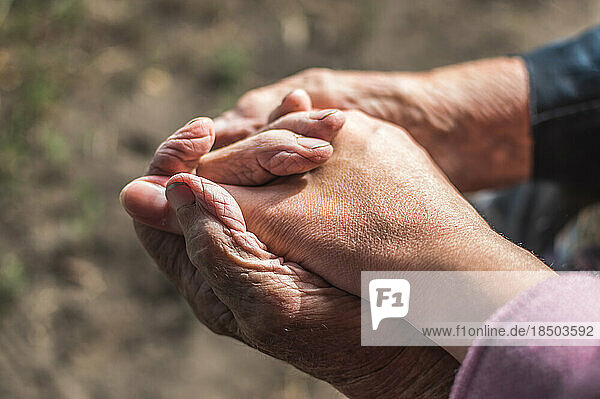 Hands of old grandmother and granddaughter  tenderness and care