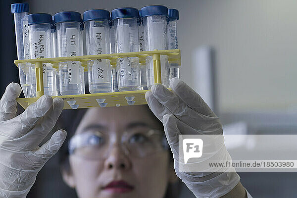 Young female scientist examining test tubes in a laboratory  Freiburg im Breisgau  Baden-Württemberg  Germany