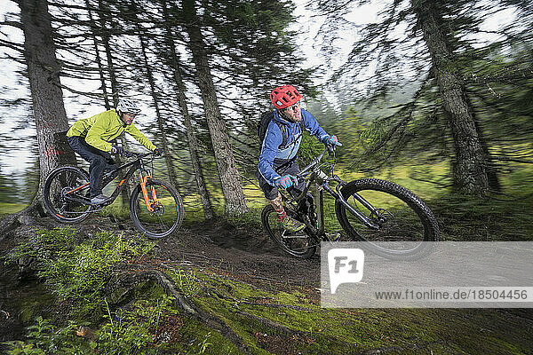Two mountain bikers riding through a forest  Saalfelden  Tyrol  Austria