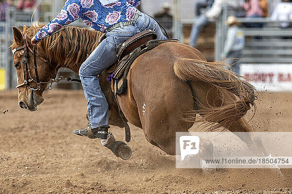 A horse kicks up dirt in the barrel racing event at the AZ black rodeo