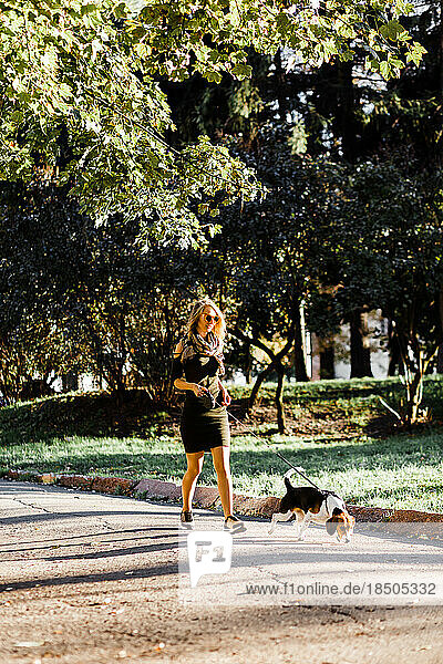 young blonde walks in the park with a beagle dog