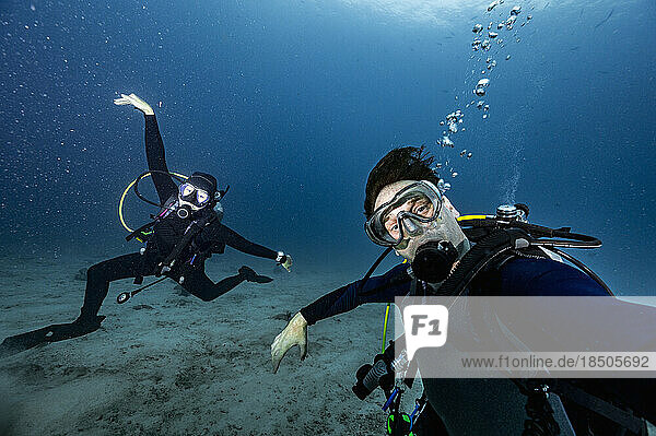 divers posing in the clear water of the Andaman Sea / Thailand