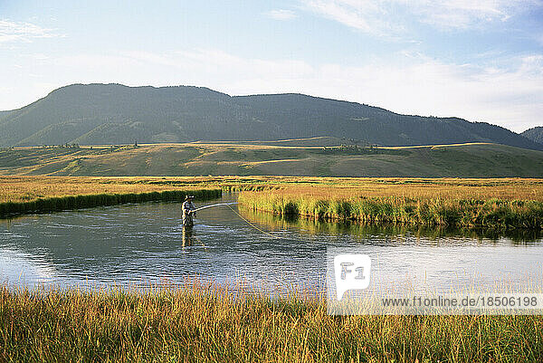 A fly-fisherman casts on a Rocky Mountain trout stream.