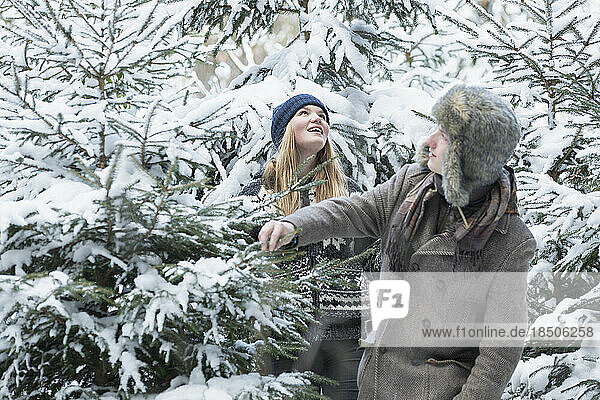 Friends in snowy forest searching a christmas tree  Bavaria  Germany