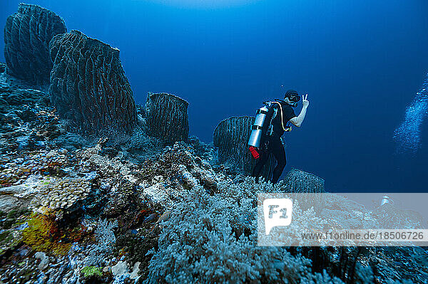 diver standing on the bottom of the Banda Sea