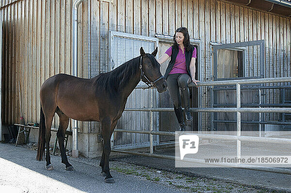 Mature woman stroking her brown horse in front of stable and smiling  Bavaria  Germany
