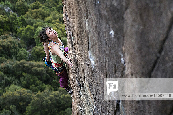 Female rock climber chalking up and examining the wall before making her next moves up at The Organ Pipes  at Mt Wellington  near Hobart  Tasmania.