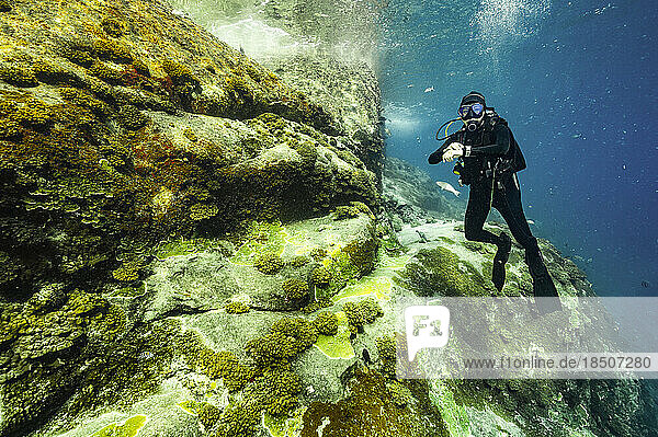 diver exploring rocky shore in the clear water of the Gulf of Thailand