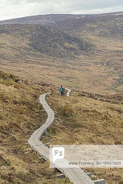 Hiker woman walking on wooden path through wicklow mountains