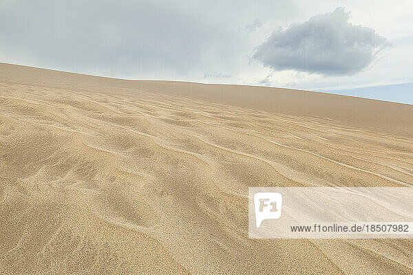 Ripples on sand dune with cloud overhead