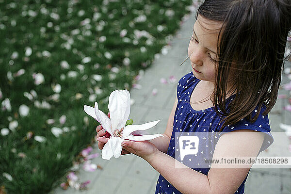 A small child stands in a yard strew with blossoms holding a flower
