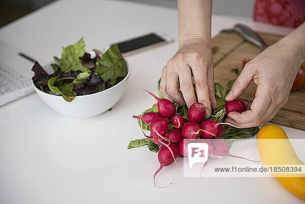 Close-up of woman cutting fresh vegetables in the kitchen  Munich  Bavaria  Germany