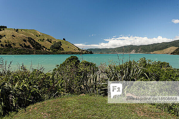 Colorful daytime view of Cable Bay  New Zealand