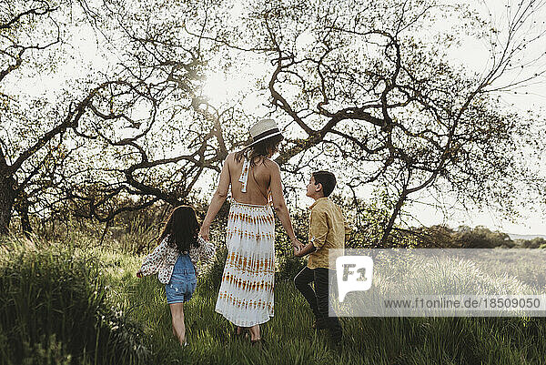 Back view of mother holding son and daughter's hands and walking
