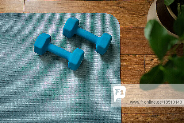 In Home Workout Space with Dumbbells Near Plant on Yoga Mat