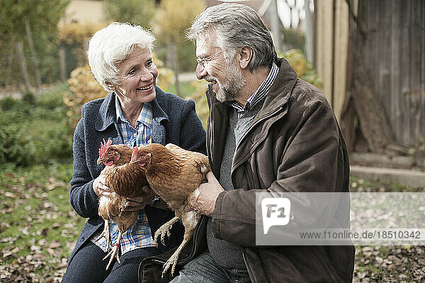 Mature couple holding chicken birds in the farm  Bavaria  Germany