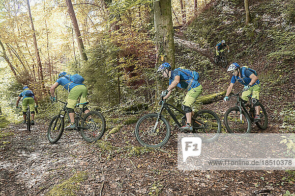 Group of five mountain bikers riding through forest path