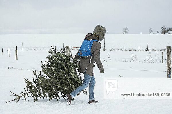 Young man carrying Christmas tree in snowy landscape  Bavaria  Germany