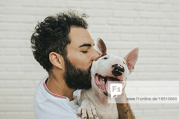 bearded man kissing a white bull terrier dog