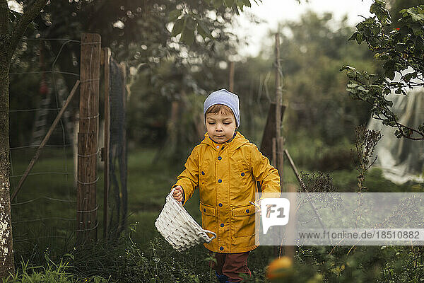 Boy in yellow raincoat walking in garden holding white basket an