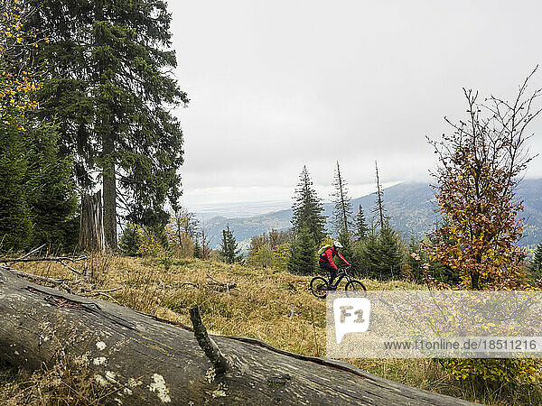 Man riding electric mountain bike on single trail  Vosges  France