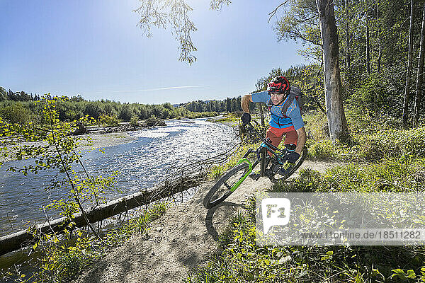 Mountain biker riding close to river in forest  Bavaria  Germany