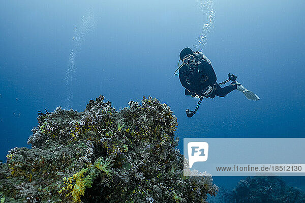 diver exploring the clear water of the Andaman Sea / Thailand