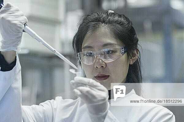 Young female scientist working in a laboratory  Freiburg im Breisgau  Baden-Württemberg  Germany