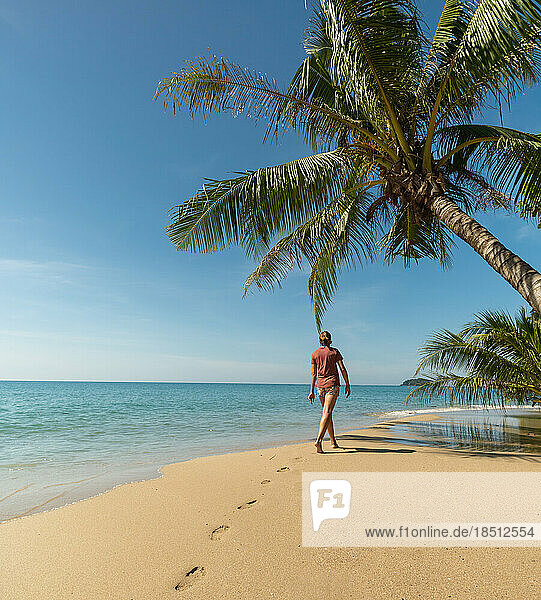 Traveler woman walking on beach under palm tree