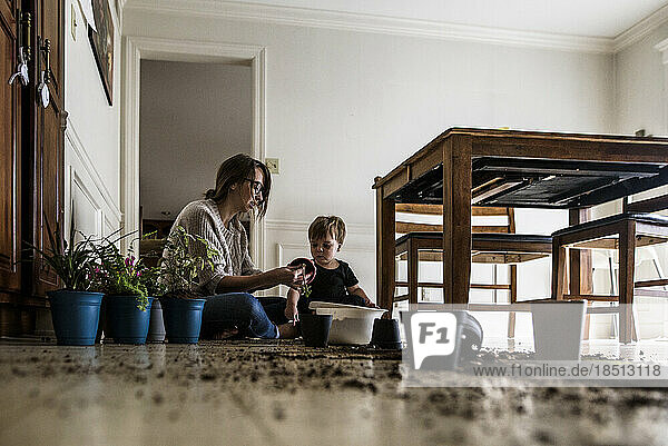 Mother and young son sit on kitchen floor with plants and dirt