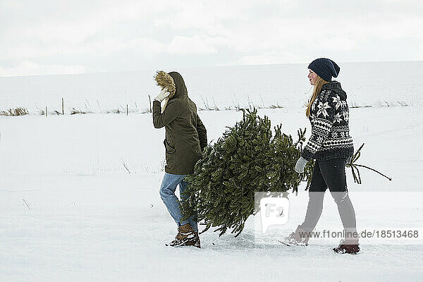 Two teenage girls carrying a christmas tree in snowy landscape  Bavaria  Germany
