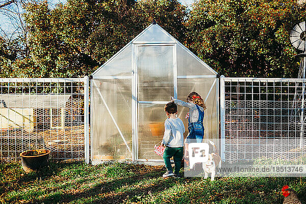 Young boy and girl opening backyard green house door in spring