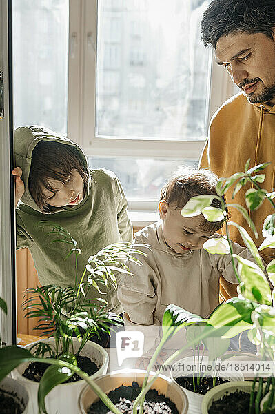 Vater und Söhne stehen zu Hause neben Pflanzen