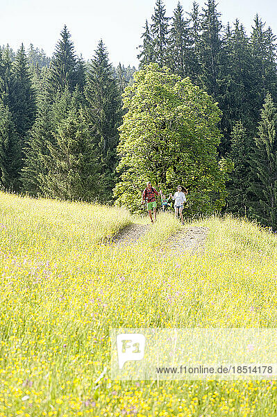 Father and mother walking with son in meadow
