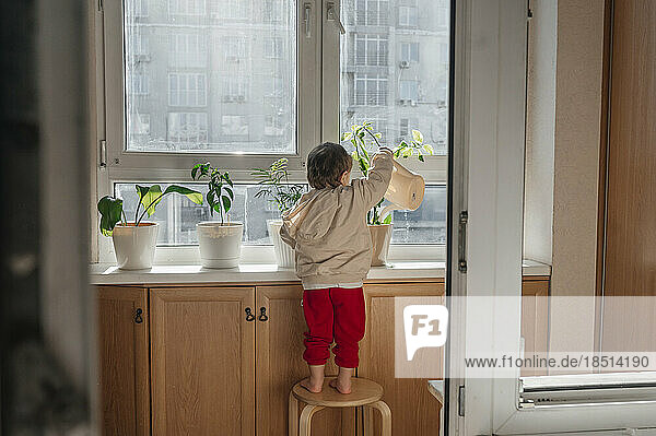 Boy watering plants standing on stool at home