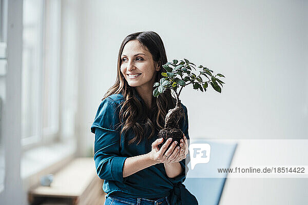 Happy young woman holding Bonsai tree at home