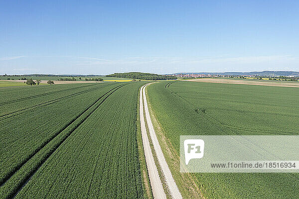 Germany  Bavaria  Rothenburg ob der Tauber  Aerial view of dirt road stretching through green fields in summer