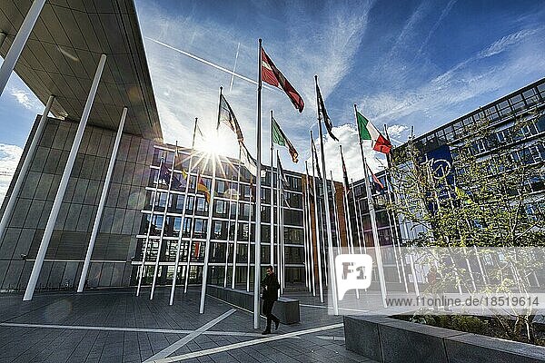 Europäisches Parlament  EU-Parlament  Flaggen europäischer Länder im Gegenlicht  Konrad Adenauer Komplex  Sonnenstrahlen  Europaviertel Kirchberg-Plateau  Luxemburg  Europa