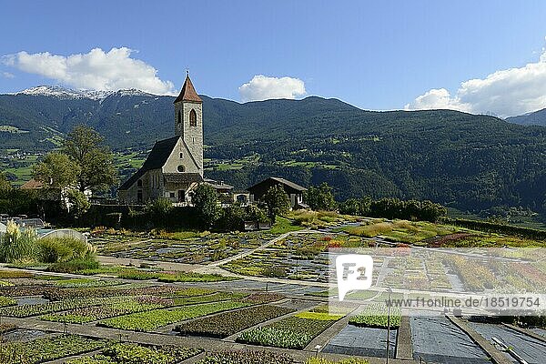 Kirche St. Clemens in Tschötsch am Pfeffersberg bei Brixen  Eisacktal  Südtirol  Alto Adige  Italien  Europa