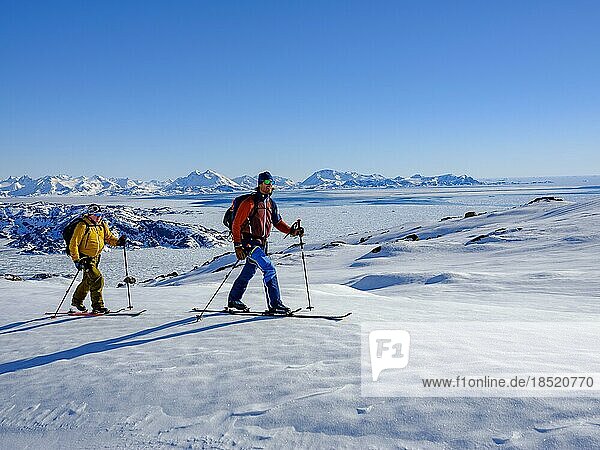 Ski mountaineer on ski tour  back pack ice  Tasiilaq  Ammassalik Island  Kommuneqarfik Sermersooq  East Greenland  Greenland  North America