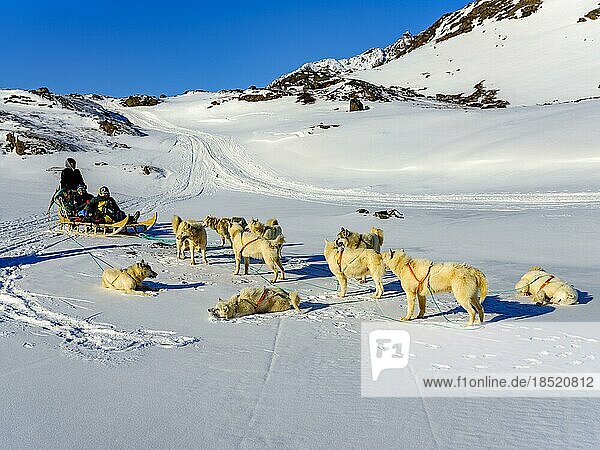 Inuit und zwei Touristen mit seinem Hundeschlittengespann  Tasiilaq  Insel Ammassalik  Kommuneqarfik Sermersooq  Ostgrönland  Grönland  Nordamerika