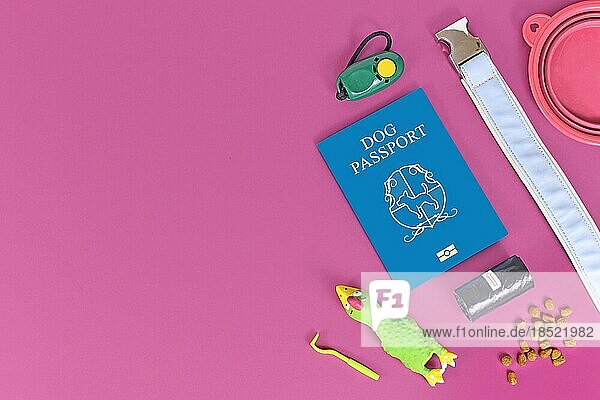 Konzept für die Reise mit Hunden zeigt gemacht blauen Hund Pass neben HaustierZubehör wie Halsband  Zecke Pinzette  Clicker  Hund Leckereien oder poop Taschen auf rosa Hintergrund mit Kopie Raum