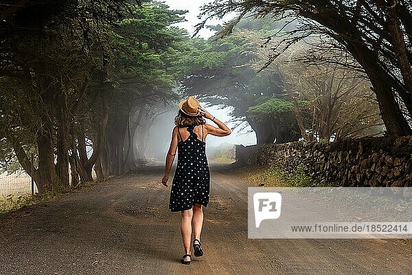 Touristin  die durch die nebligen Bäume in Richtung des Wacholderwaldes auf El Hierro spaziert. Kanarische Inseln